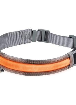 Ошейник для собак zoofari collier led pour chien светодиодный l 64-70х3,5 см