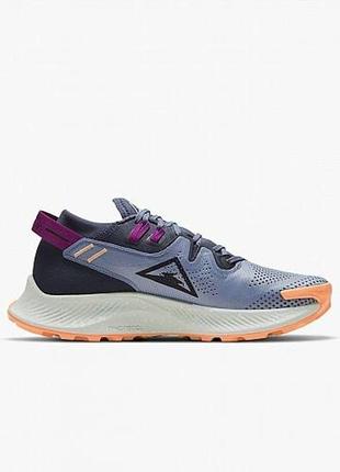 Кросівки nike w pegasus trail 2 grey ck4309-401