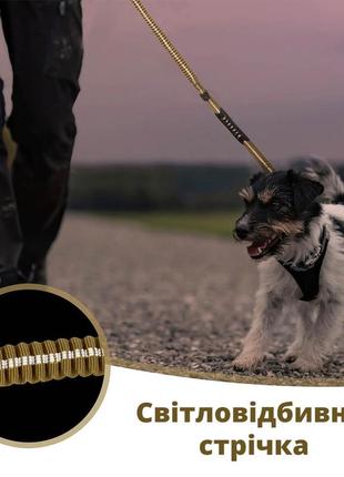 Банджи-поводок для собак мощным вращающимся металлическим карабином лягушка бежевый5 фото