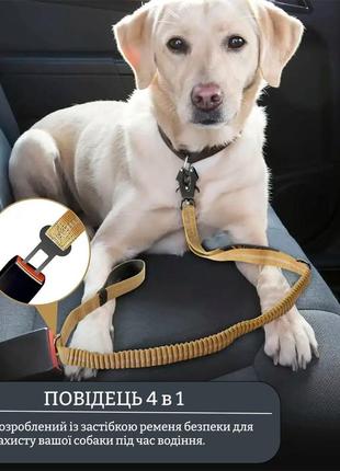 Банджи-поводок для собак мощным вращающимся металлическим карабином лягушка бежевый6 фото