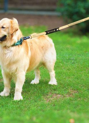 Банджи-поводок для собак мощным вращающимся металлическим карабином лягушка бежевый8 фото