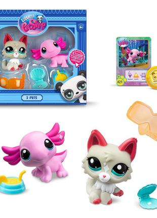 Игровой набор littlest pet shop – удивительные дивы (00527)