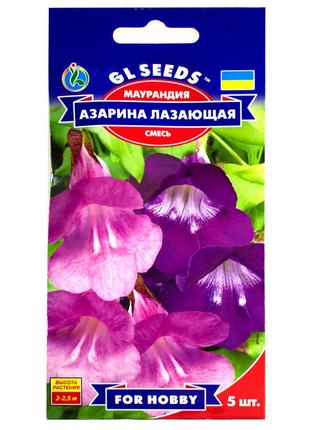 Насіння  маурандія азаріна лазаюча 5 шт