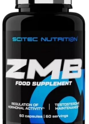Зма scitec nutrition zmb6 60 caps