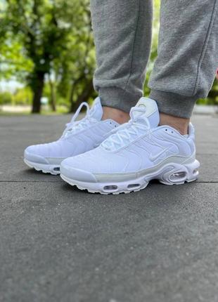 Nike air max plus