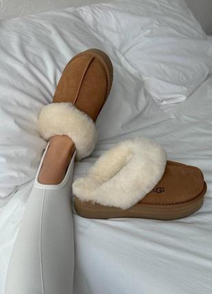 Угги уггі угг ugg disquette
