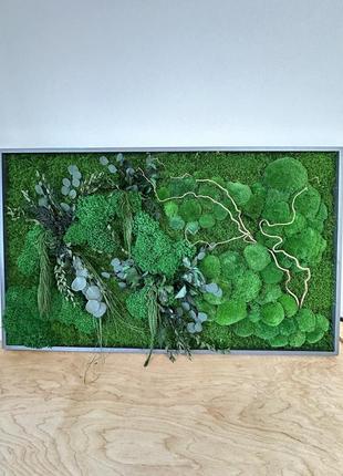 Картина стабилизированный мох+растения