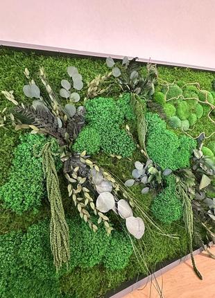 Картина стабилизированный мох+растения