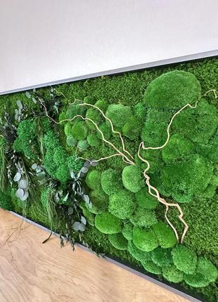 Картина стабилизированный мох+растения
