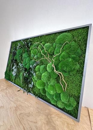 Картина стабилизированный мох+растения