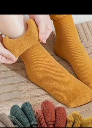 Набір шкарпеток