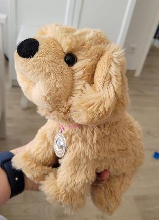Zapf 819524 baby born® пес енді інтерактивна іграшка собака собачка песик