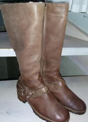Ugg (австралія)- шкіряні зимові чоботи 38 розмір (24 см)