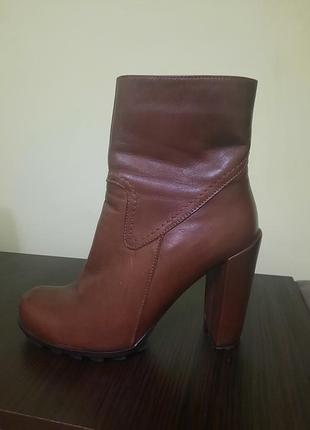 Жіночі черевики