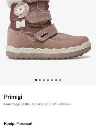 Новые сапоги