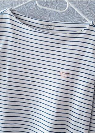 Кофтинка у смужку esprit 4