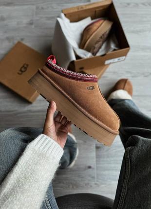 Угги уггі угг ugg tasman slippers platform chestnut