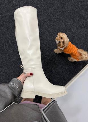 Сапоги еврозима сапоги кожаные классические