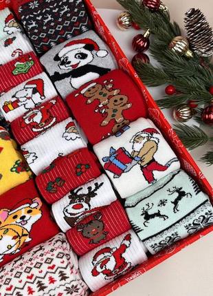 Подарочный бокс теплых и деми новогодних носков (10+10)