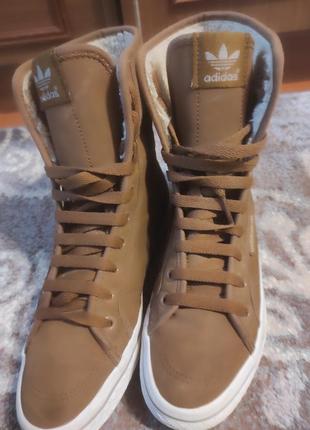 Зимние кеды adidas