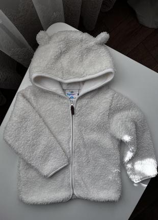 Кофтинка теді