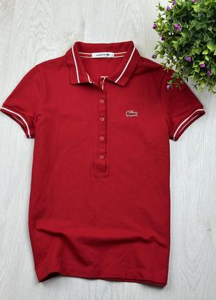 Поло Nvy lacoste