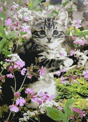Картина за номерами strateg преміум кошеня в квіточках з лаком та з рівнем розміром 30х40 см (ss6461)