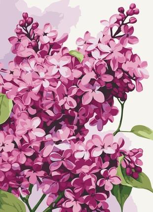 Картина за номерами "бузок" 13083-ac 40х50 см