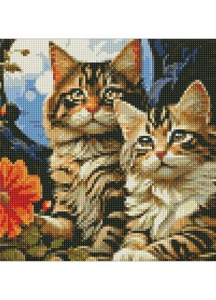 Алмазна мозаїка без підрамника "чарівні котики" amc7852 30х40 см