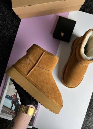 Жіночі уггі ugg classic mini platform cinnamon fur