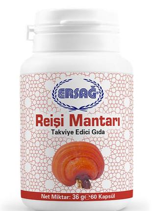 Гриб рейши ersag