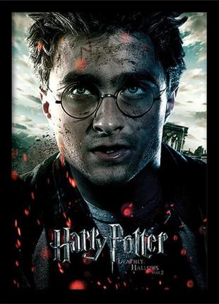 Постер у рамі harry potter / гаррі поттер (deathly hallows part 2 - harry) 30 х 40 см