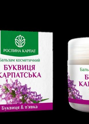 Бальзам буквица карпатская, 50 мл., рослина карпат