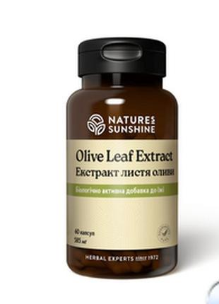 Olive leaf extract экстракт листьев оливы
