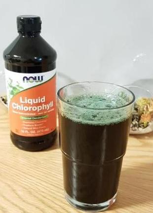Хлорофіл now liquid chlorophyll 473 ml mint 6