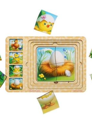 Деревянная настольная игра "этапы развития курочки" ubumblebees (псф018) psf018 сортер-пазл
