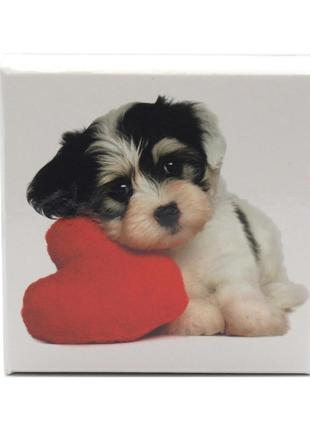 Коробка подарункова оотв собака з серцем 10 х 10 см