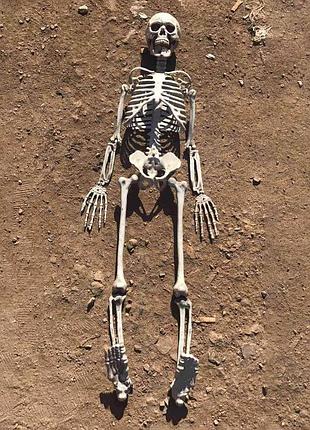 Карандаш продолжается milani