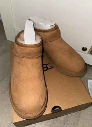Ultra mini chestnut ugg оригинал