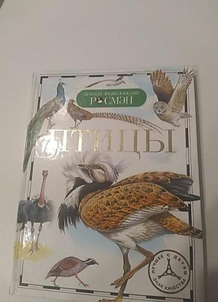 Птицы