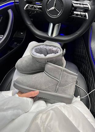 Жіночі зимові сірі ugg ultra mini grey / сірі уггі угі угг утеплені хутром / угг натуральні овчина / угги утепленные мех з мехом натуральные
