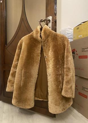 Шуба тедди