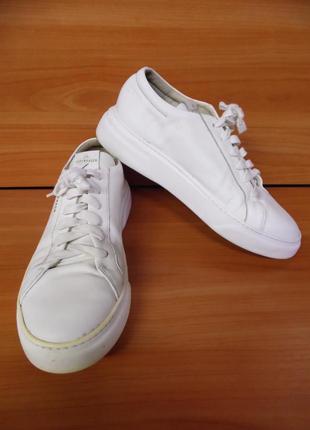 Кеди copenhagen*