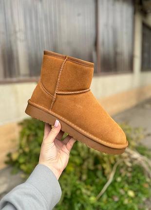 Мужские угги