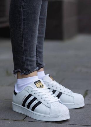 Шкіряні кросівки adidas superstar classic