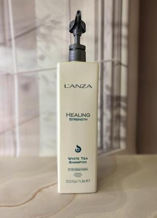 L’anza healing strength white tea shampoo - 1000мл, рн 5,5.