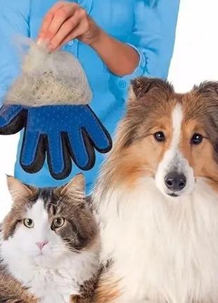 Перчатка для вычесывания шерсти с домашних животных true touch перчатки для чистки животных4 фото