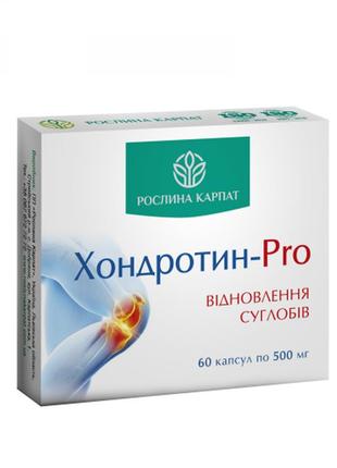 Хондротин - pro рослина карпат 60 кап.