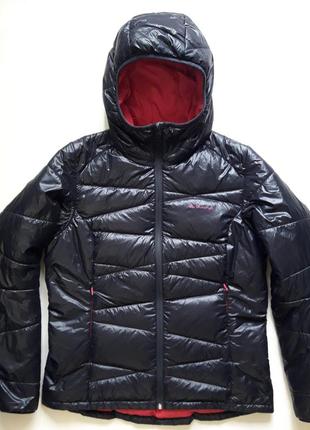 Quechua x light deals