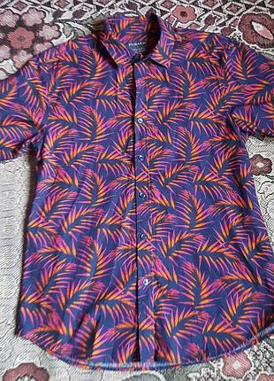 Гавайка рубашка шведка